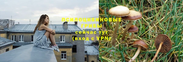 PSILOCYBIN Верея