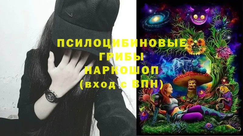 Псилоцибиновые грибы MAGIC MUSHROOMS  где купить наркоту  это наркотические препараты  Каспийск 